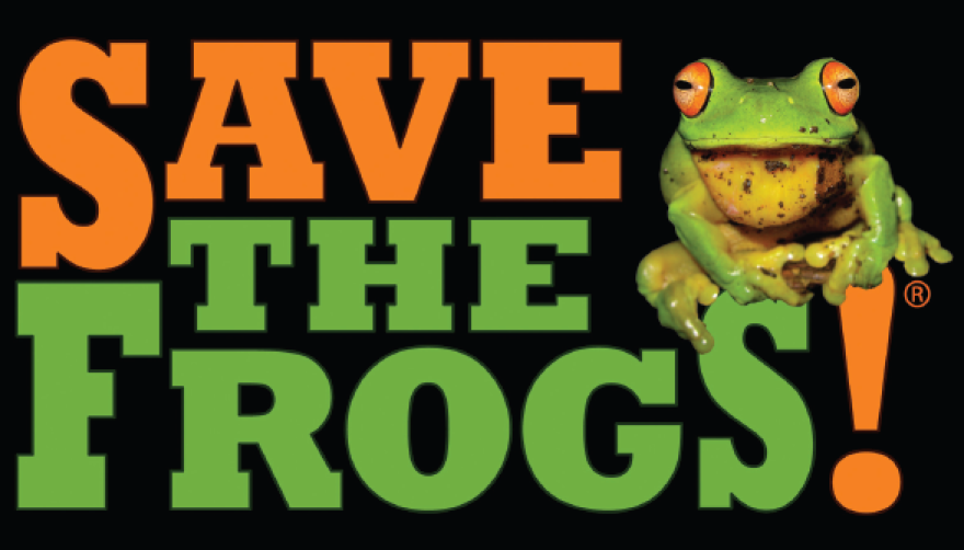 save_the_frogs_omg.png