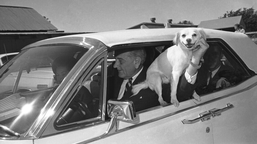 Yuki, President Lyndon Johnson's dog, is held out the window of the car driven by LBJ as the first family starts a ride around the Texas ranch in Stonewall, Texas, Sept. 30, 1967.