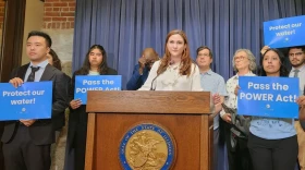 Jen Walling, the executive director of the Illinois Environmental Council, speaks about the POWER Act at a May 13, 2026, news conference.