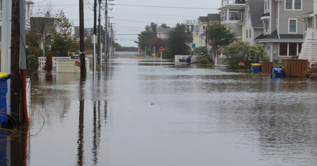 Lewes Chamber and Delaware Sea Grant seek to educate business owners on resilience
