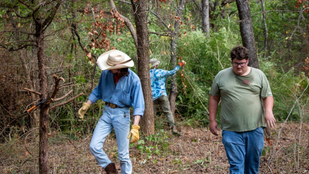 Volunteers cut down privet at Pontotoc Ridge Preserve in Southeast Oklahoma