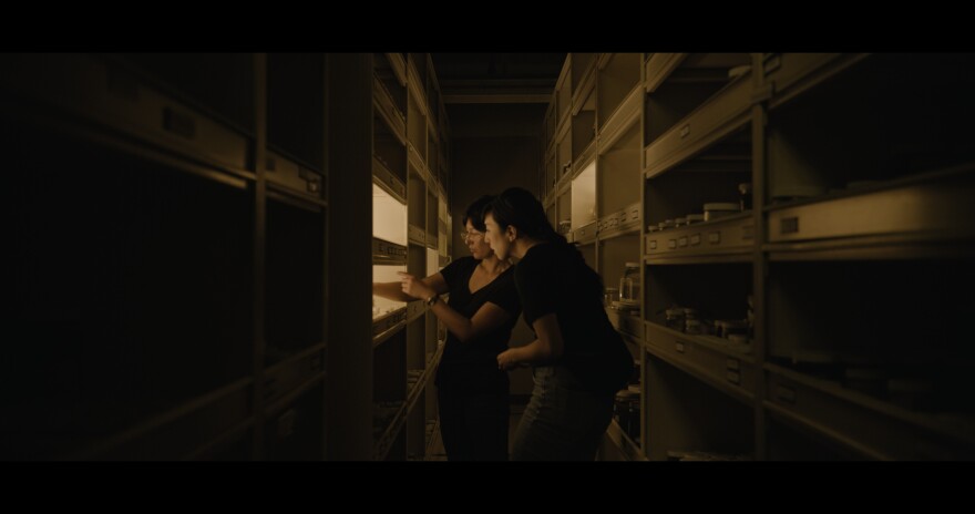 Rosanna Xia explores a library of specimens of deep sea life preserved at Scripps Institute of Oceanography.