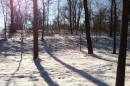Winter snow at Lake Murphysboro