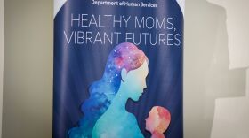 A display at the unveiling of the Commonwealth's Maternal Health Strategic Action Plan.