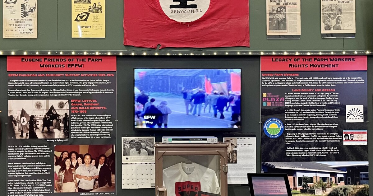 Museum exhibit shows the fight for farmworkers #39 rights in Lane County