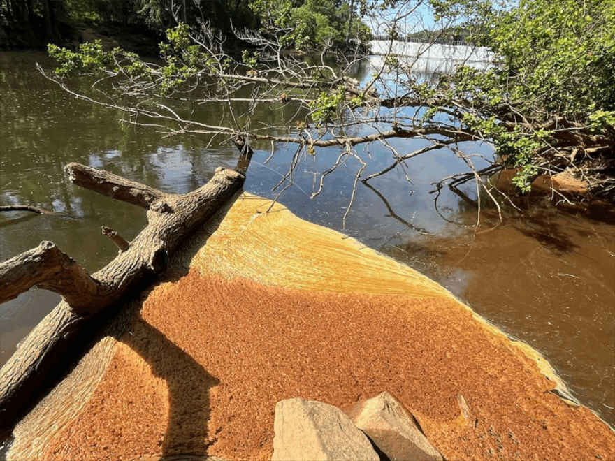 Foam on the Tar River near the outfall of a Rocky Mount water treatment plant.