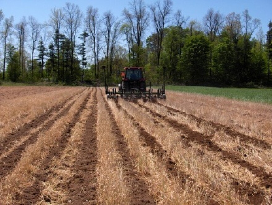 A farm plow in a field at Reeves Farms.