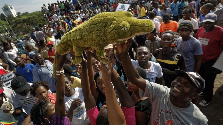 Supporters of Zimbabwe's Mnangagwa, known as "The Crocodile," raise a stuffed crocodile in the air as they await his arrival at the ZANU-PF party headquarters in Harare, Zimbabwe on Wednesday. Mnangagwa has emerged from hiding and returned home ahead of his swearing-in Friday. Crowds gathered at the ruling party's headquarters for his first public remarks.