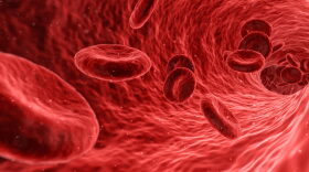 Red blood cells