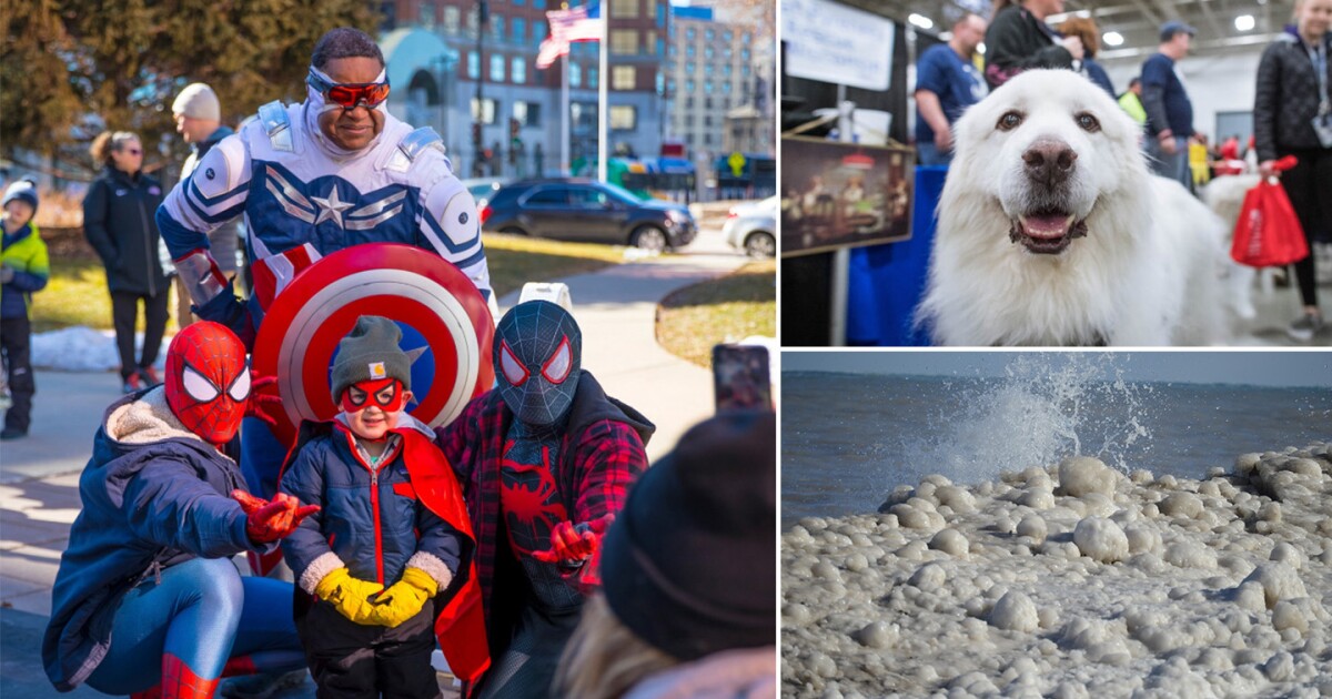 Milwaukee With Kids weekend guide: Capes, critters and chilling at the lake
