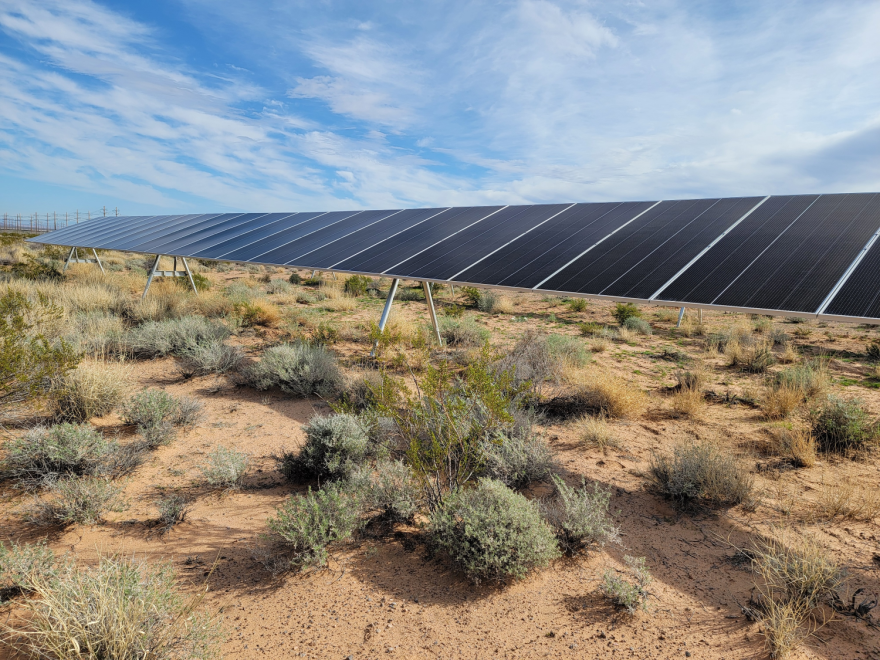 A long row of solar panels in a desert field partially covered with shrubbery.