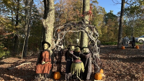 Sun-drenched Halloween decorations greeted visitors at Carter Hill Orchards on a Sunday in early October