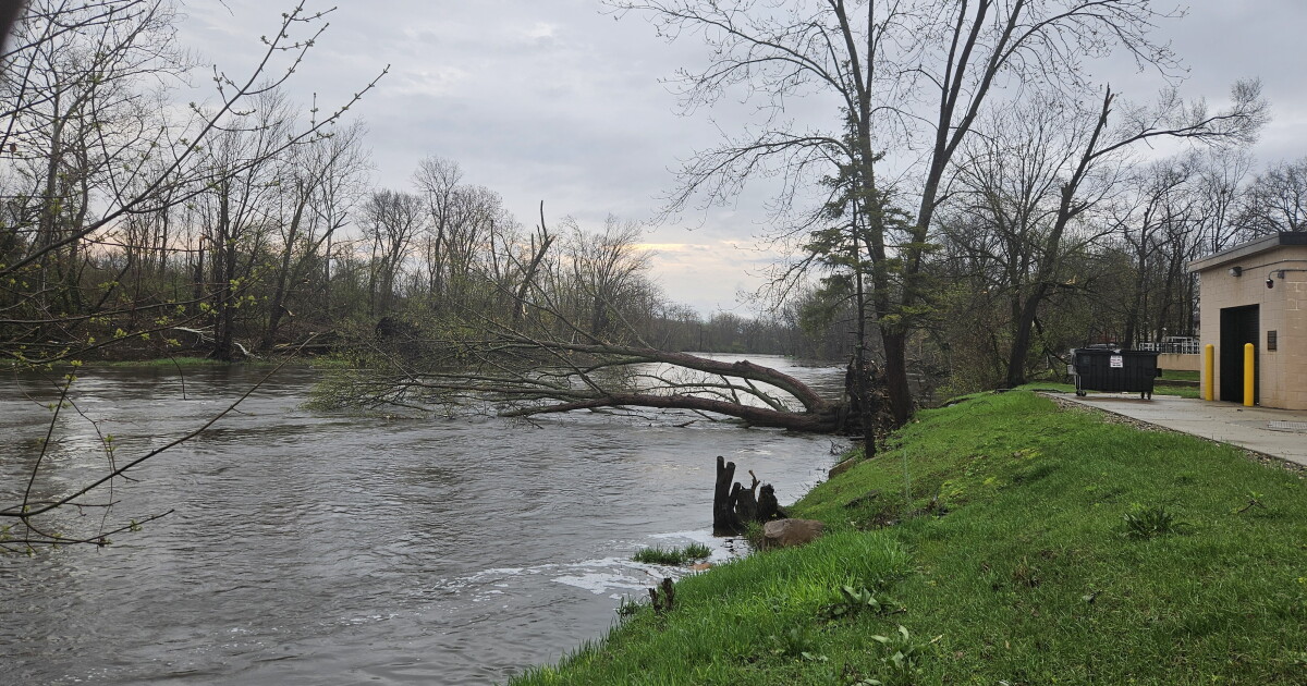 Severe storms knock down trees and powerlines in Otsego