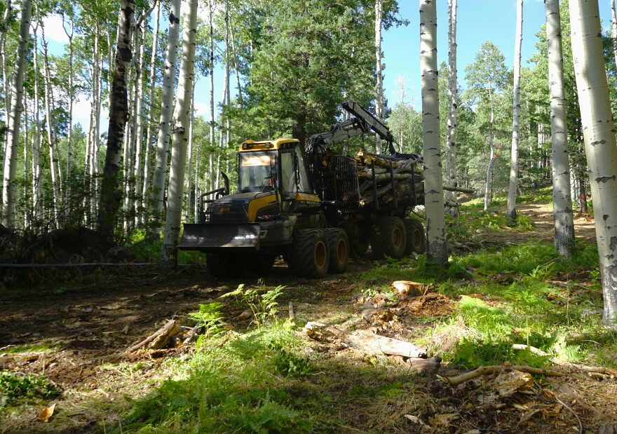 Keith Perkins of Perkins Natural Resources uses a Ponsse forwarder to pull dead and downed logs off the forest floor of the San Francisco Peaks, August 4, 2026.