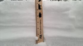 News Director Rich Egger measured nearly 7.5 inches on snow on top of his car on Saturday afternoon.