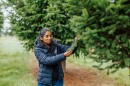Scientist examines trees in the field.