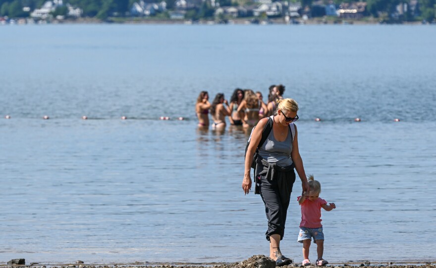 People swim and walk on the Palmyra Beach at Lake Wallenpaupack.