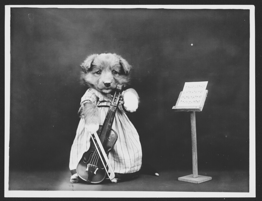 "The Fiddler," 1914