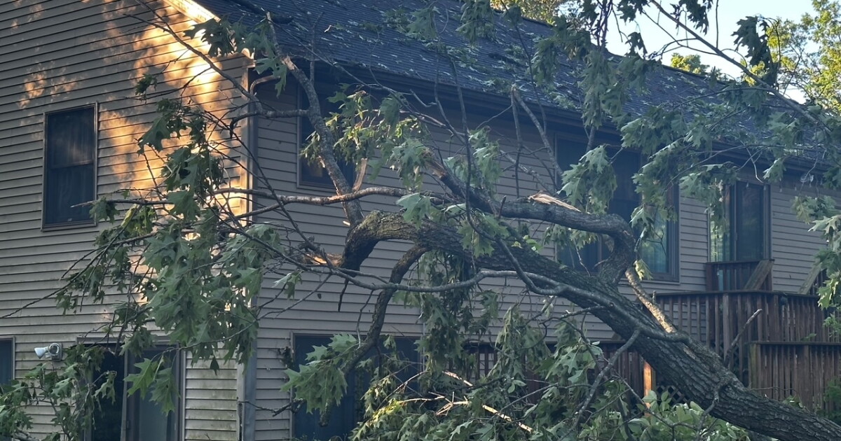 Federal disaster loans now available for recovery from June tornado