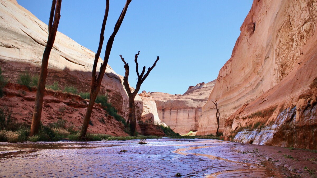 The Thirst Gap examines how to live with less water on the Colorado River - Vimarsana News