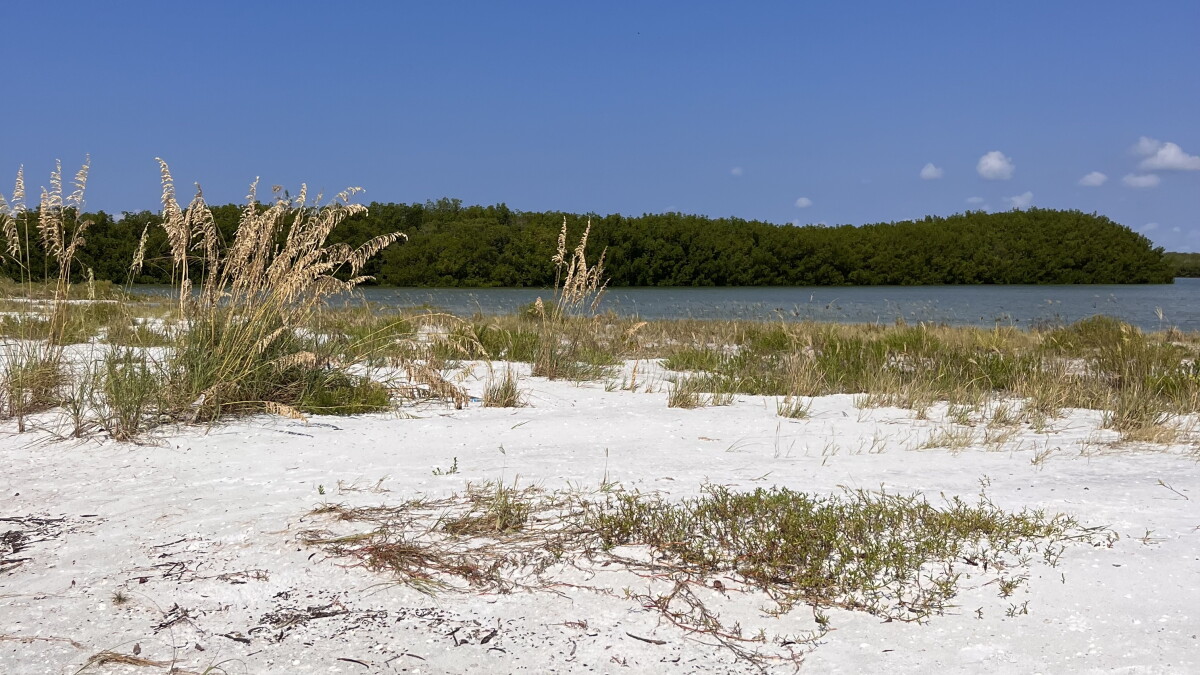 Lovers Key State Park schedules wildlife programs, other activities - Vimarsana News