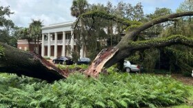 Florida First Lady Casey DeSantis posted a photo to her social media of the tree outside the Governor's Mansion that split during Hurricane Idalia