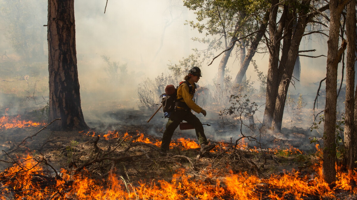 Study: Pay, experience positively impact wildland firefighter retention; competing wages not so much - Vimarsana News