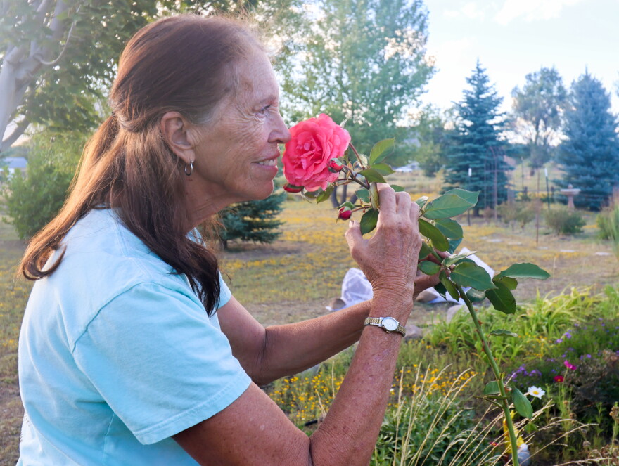 Cindy Wilson, 69, stops to smell her favorite rose from her backyard garden, known as the Garden House on Butterfly Lane, on Monday, Sept. 14, 2026. This single rose stands over 5 feet tall, and she admires it most mornings from the kitchen of her home in Doney Park, Ariz., near Flagstaff.