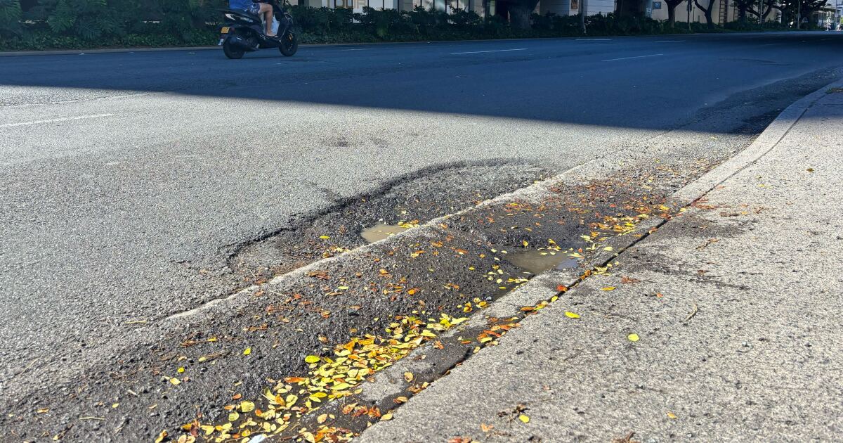 Report everything from abandoned cars to feral chickens with new Oʻahu system