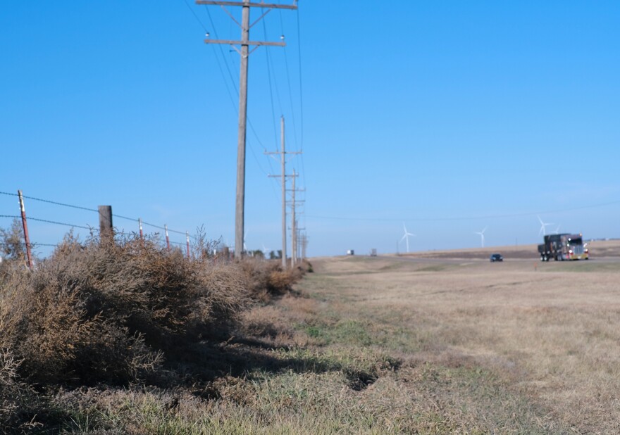 Tumbleweeds caught in a fence by a highway in Ford County, Kansas. When collected like this, they can be a fire hazard.