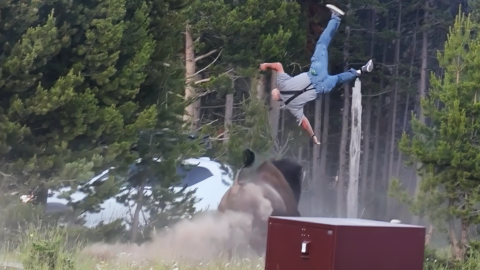 A man spins in the air as a bison runs beneath him.