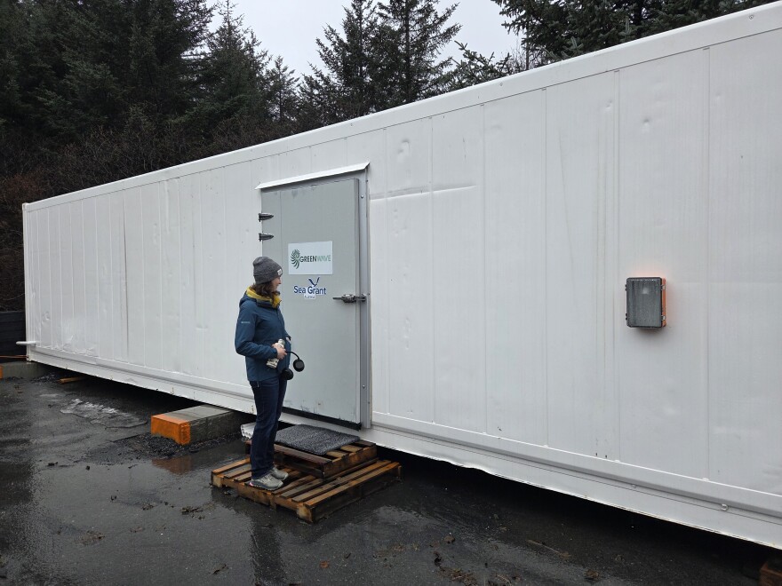 The 40-foot container houses the first of its kind kelp hatchery created by GreenWave. The national nonprofit has another kelp hatchery on the east coast but it's half the size of the Kodiak based nursery.