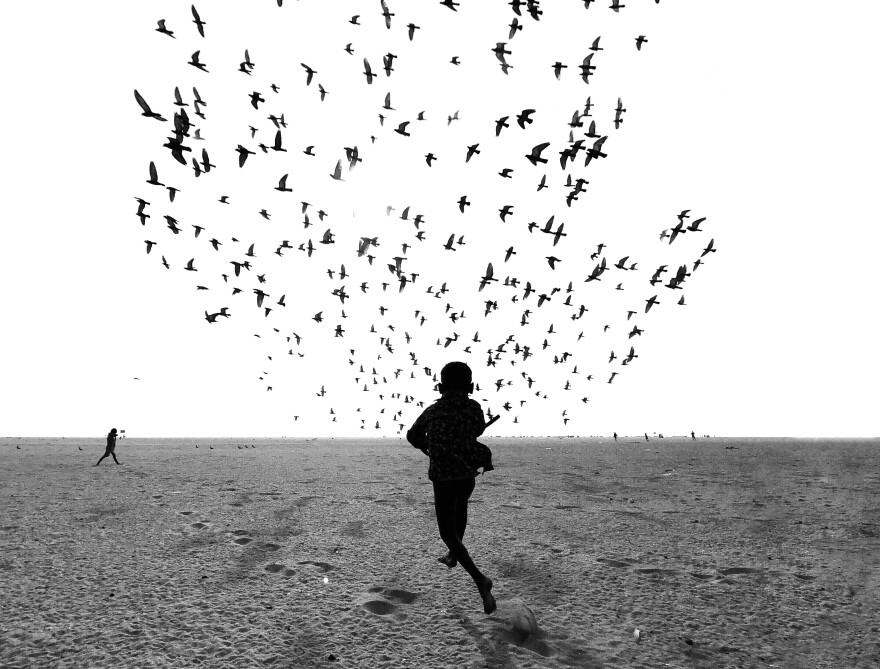Taken in Tamil Nadu, India, the picture is part of a series that the photographer titled: "We Run, You Fly."