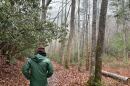 The Roadless Rule protects 32 roadless areas in western North Carolina, including the South Mills River.