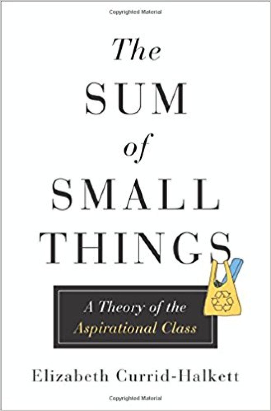 "The Sum of Small Things: A Theory of the Aspirational Class" book
