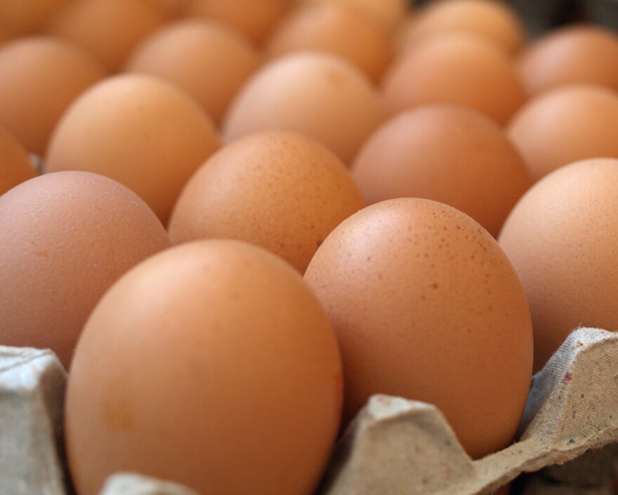 Were the eggs we buy at the supermarket once embryos?