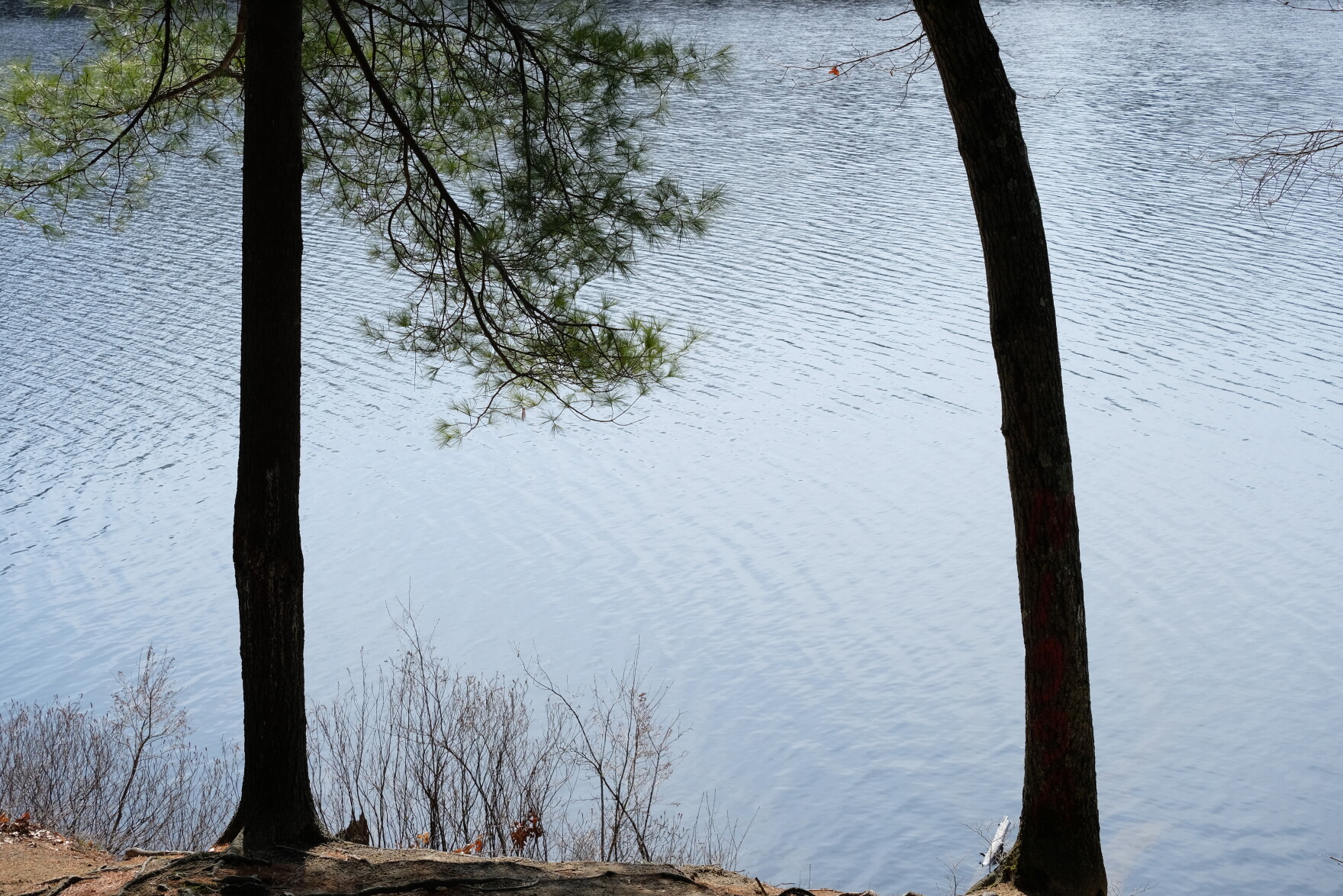 Police update timeframe for death of baby found in Manchester pond ...
