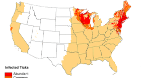 Infected Tick Areas
