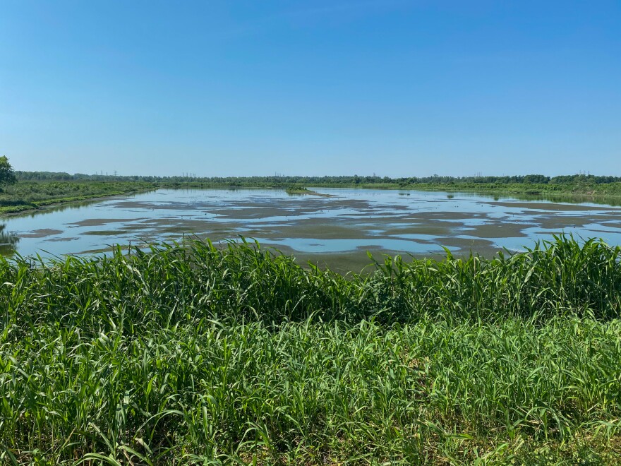 Ensley Bottoms' settling ponds are part of the wastewater treatment process.