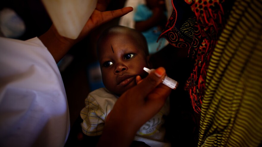 A child is immunized against polio at the health clinic in a farming village in northern Nigeria. The procedure involves pinching two drops of the vaccine into the child's mouth. For full protection, the child needs three doses, spaced out over time.