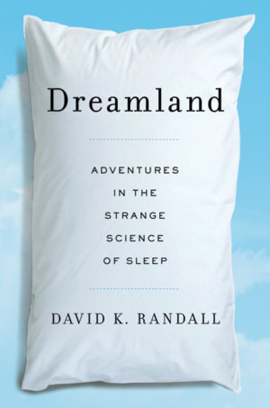 Cover of "Dreamland" by David K. Randall