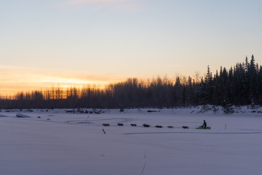 A musher drives a dog team up a short bank