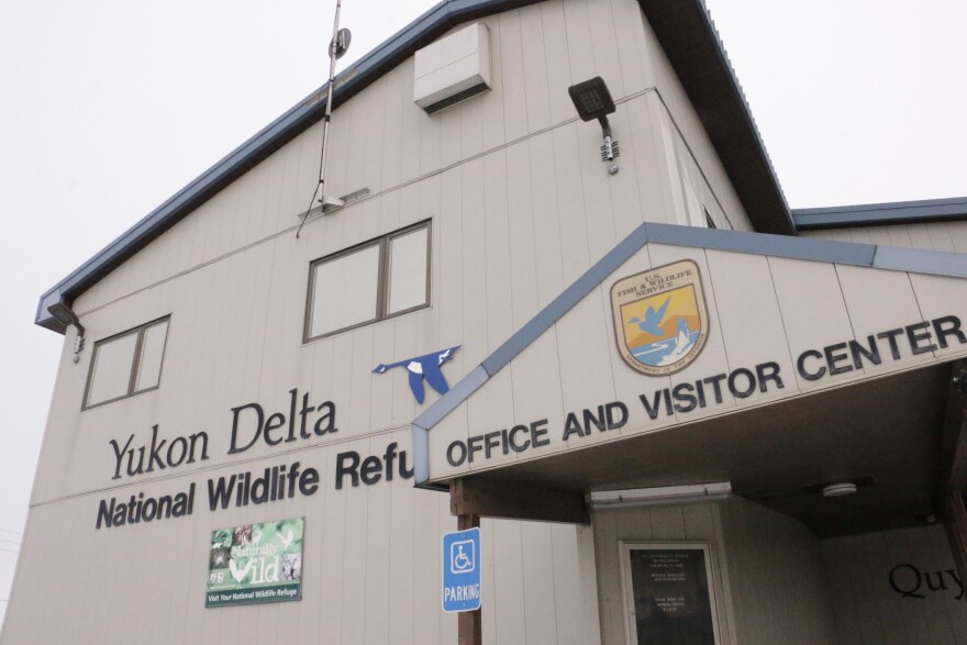 All 19 USFWS Yukon Delta National Wildlife Refuge employees returned to the office on January 28, 2019 after Congress passed a bill to fund the government for three weeks following the longest federal government shutdown in U.S. history.