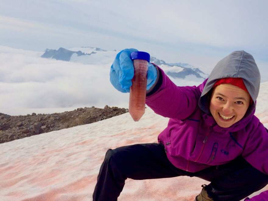 An image of a person holding up a tube filled with pink snow