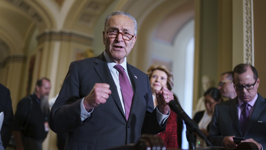 Senate Majority Leader Chuck Schumer, D-N.Y., speaks to reporters on Tuesday.