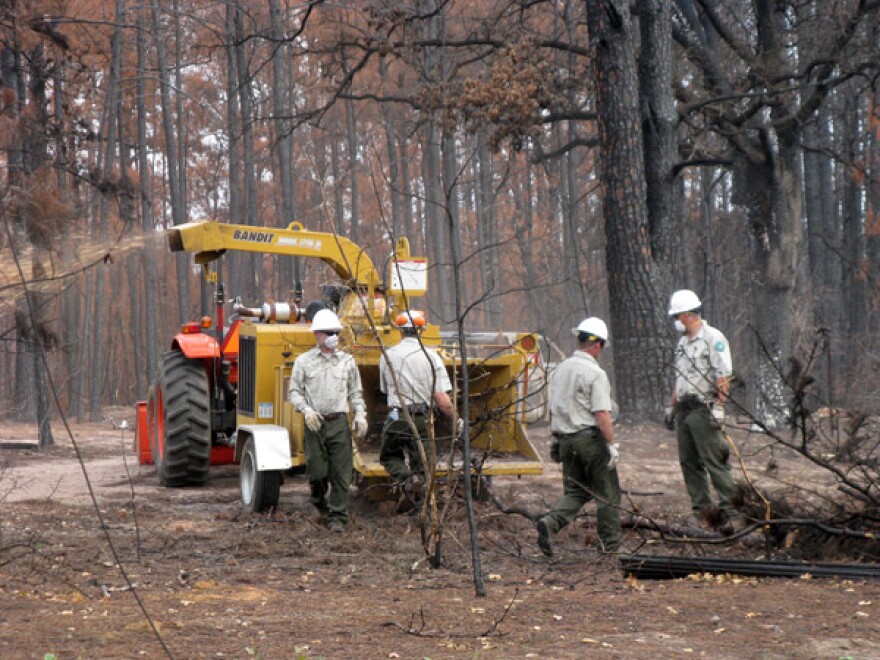 Crews chipping burnt wood inside Bastrop State Park.