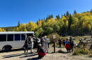 A shuttle bus drops off hikers in a dirt parking lot in front of a trail with yellow leaves