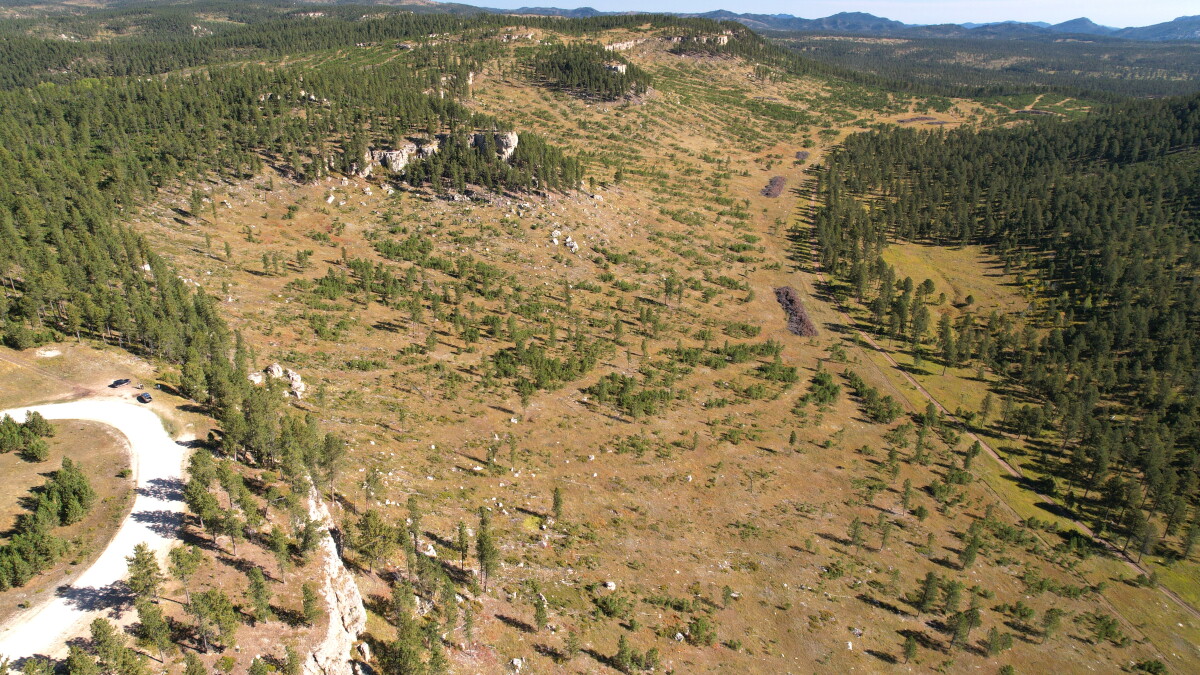 'I see greed:' Concern raised with logging results near Custer - Vimarsana News