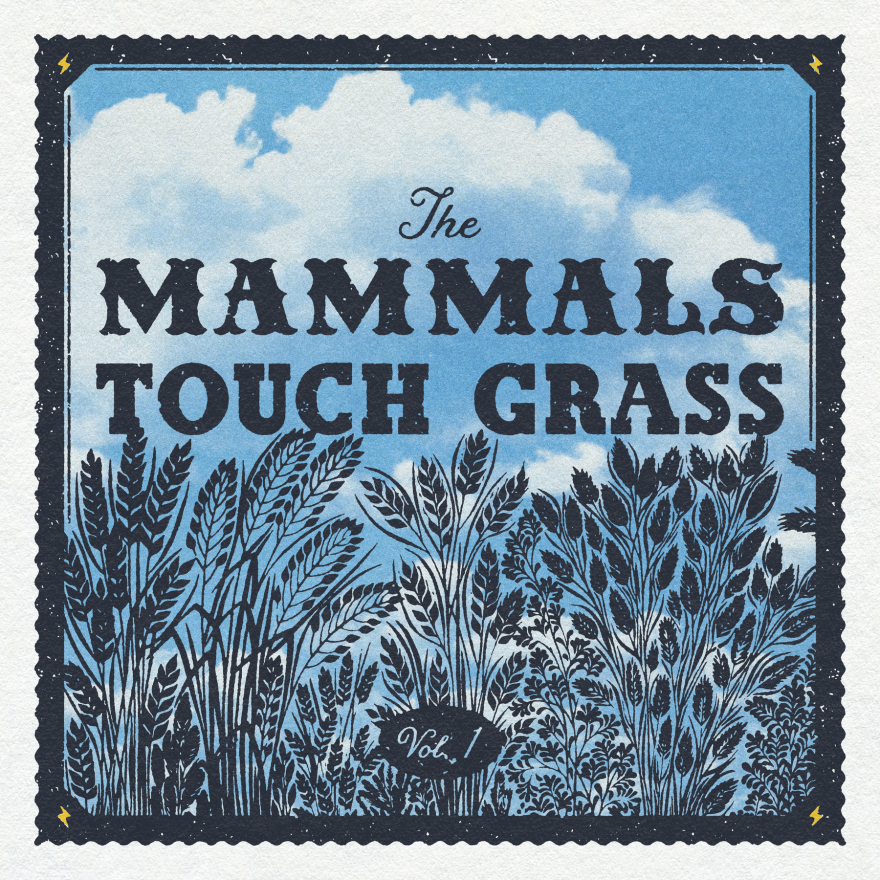Touch Grass Vol. 1 album cover