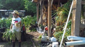 Photo by John Hagen.